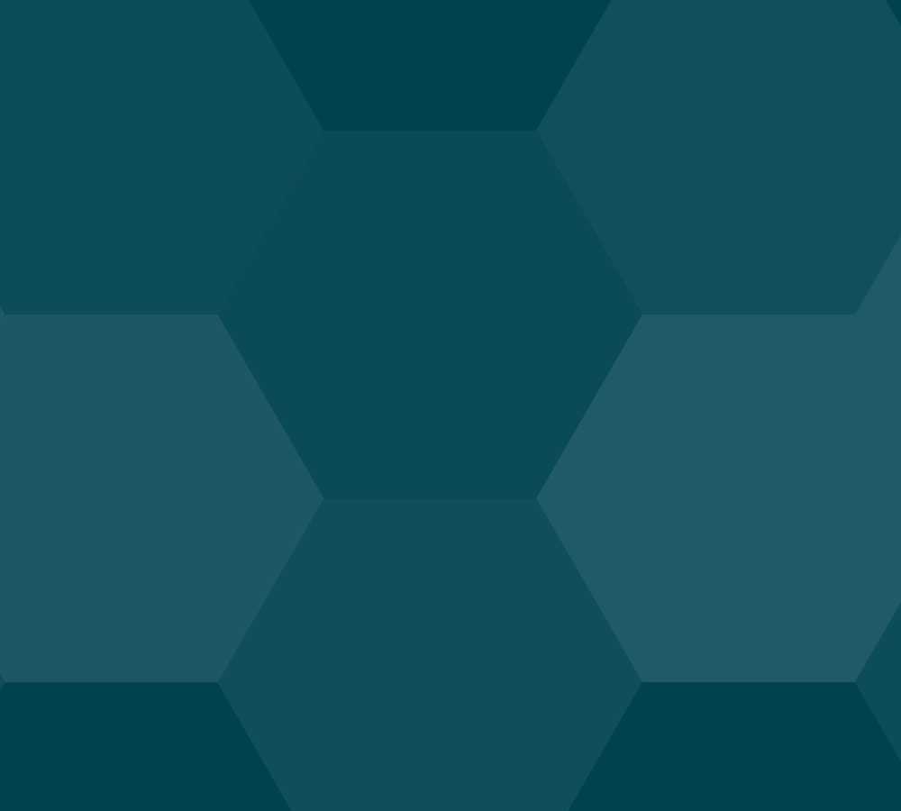 toppbild-hexagon