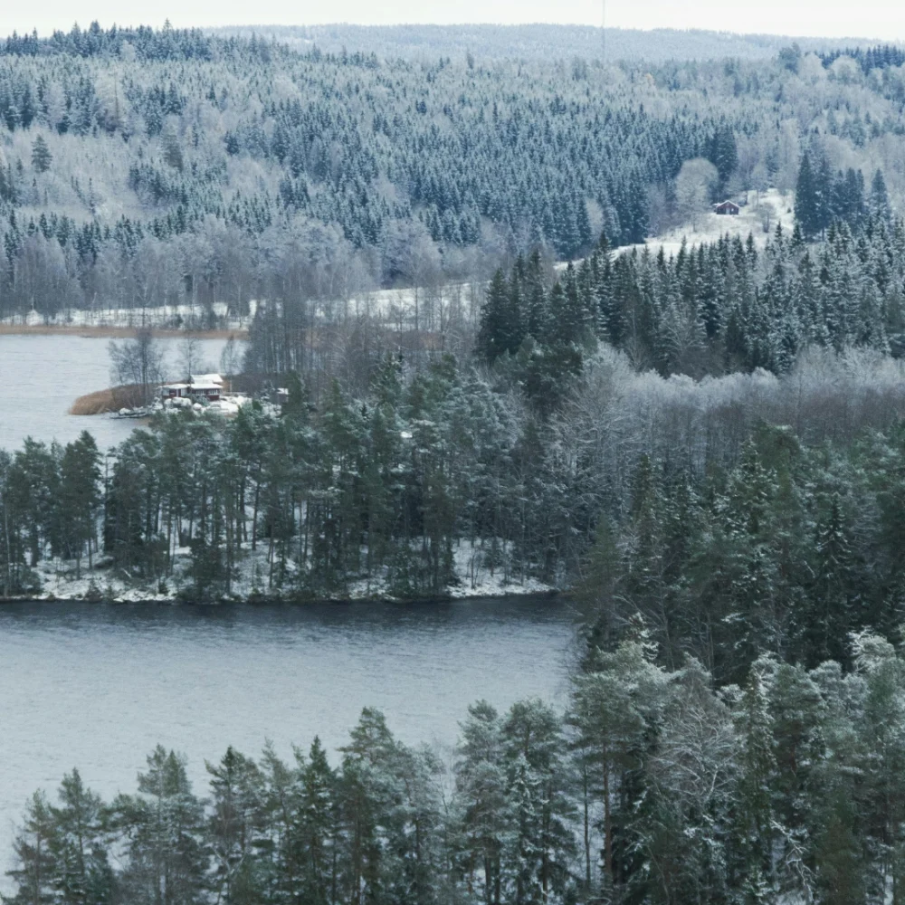 Försvarssektorn Basalt